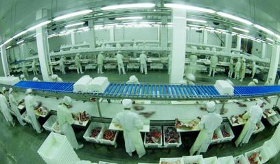 雙匯北大荒肉業股份有機肉食品加工