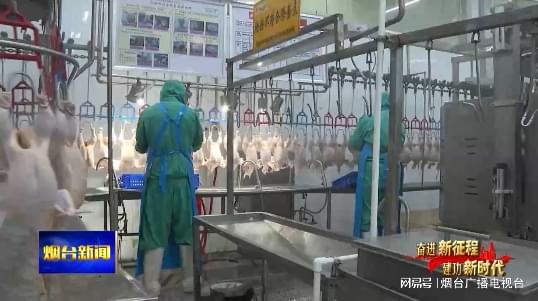 逆勢而上 煙臺企業(yè)穩(wěn)步挺進(jìn)海外市場