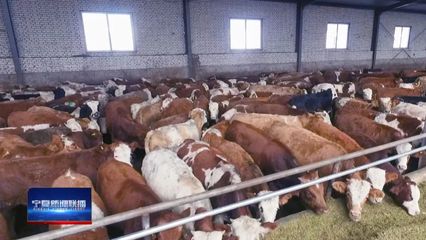 山海攜手 共謀小康!26載閩寧協(xié)作開(kāi)創(chuàng)經(jīng)貿(mào)往來(lái)新局面